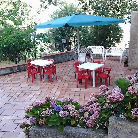 B&B Antico Torchio 파올라