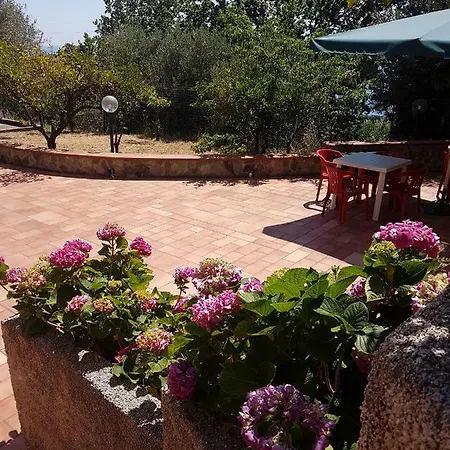 B&B B&B Antico Torchio 파올라